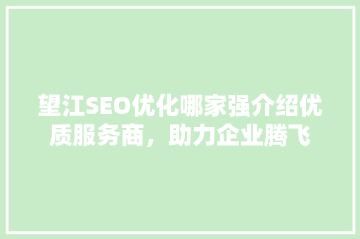 望江SEO优化哪家强介绍优质服务商，助力企业腾飞