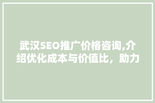 武汉SEO推广价格咨询,介绍优化成本与价值比，助力企业高效提升品牌知名度