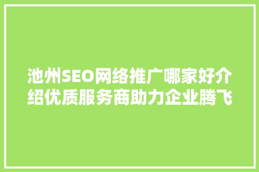 池州SEO网络推广哪家好介绍优质服务商助力企业腾飞之路