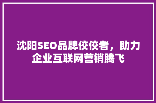 沈阳SEO品牌佼佼者，助力企业互联网营销腾飞  第1张