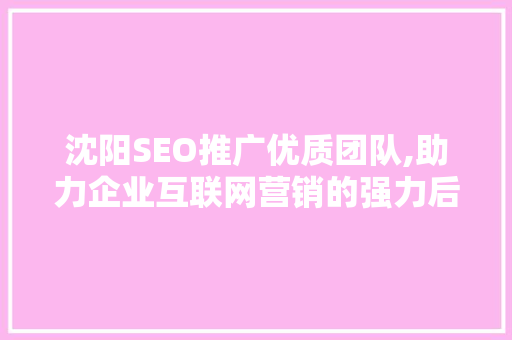 沈阳SEO推广优质团队,助力企业互联网营销的强力后盾