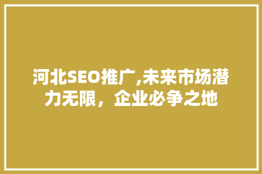 河北SEO推广,未来市场潜力无限，企业必争之地