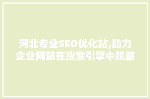 河北专业SEO优化站,助力企业网站在搜索引擎中脱颖而出