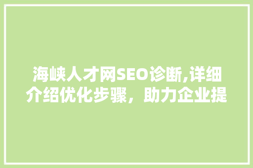 海峡人才网SEO诊断,详细介绍优化步骤，助力企业提升网络竞争力