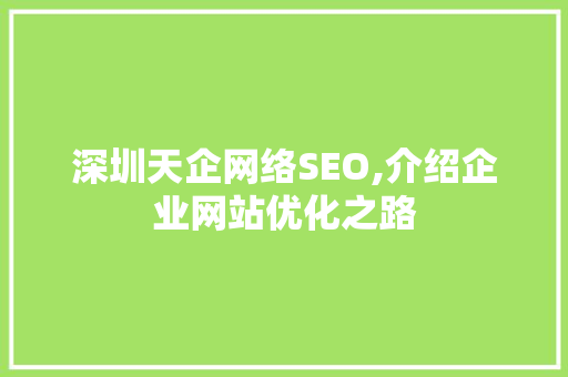 深圳天企网络SEO,介绍企业网站优化之路
