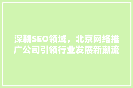 深耕SEO领域，北京网络推广公司引领行业发展新潮流