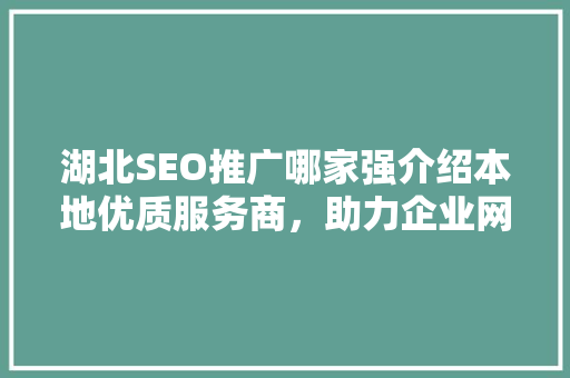 湖北SEO推广哪家强介绍本地优质服务商，助力企业网络营销腾飞