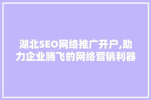 湖北SEO网络推广开户,助力企业腾飞的网络营销利器