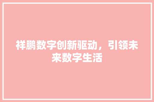 祥鹏数字创新驱动，引领未来数字生活