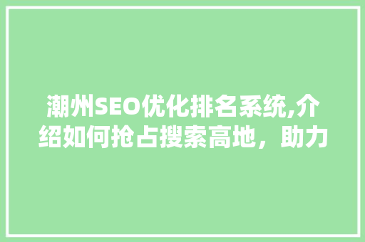 潮州SEO优化排名系统,介绍如何抢占搜索高地，助力企业腾飞