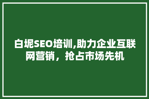 白坭SEO培训,助力企业互联网营销，抢占市场先机