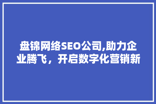 盘锦网络SEO公司,助力企业腾飞，开启数字化营销新篇章