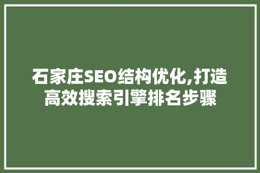 石家庄SEO结构优化,打造高效搜索引擎排名步骤