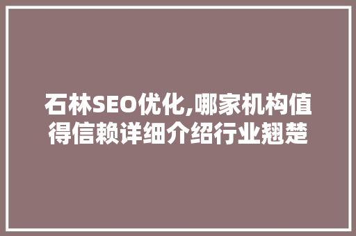 石林SEO优化,哪家机构值得信赖详细介绍行业翘楚