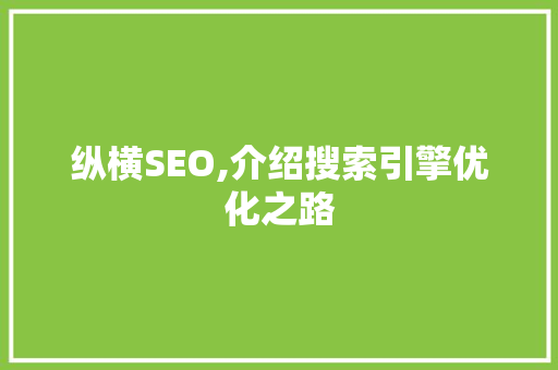 纵横SEO,介绍搜索引擎优化之路