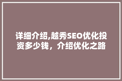 详细介绍,越秀SEO优化投资多少钱，介绍优化之路