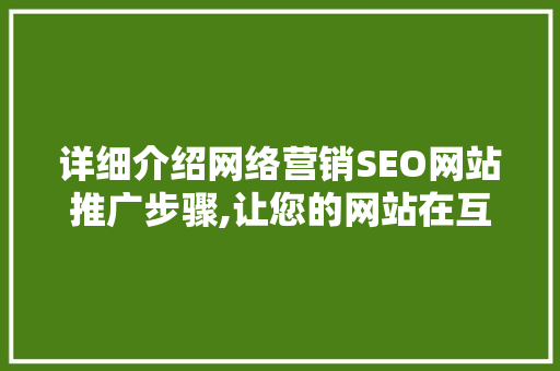详细介绍网络营销SEO网站推广步骤,让您的网站在互联网海洋中乘风破浪