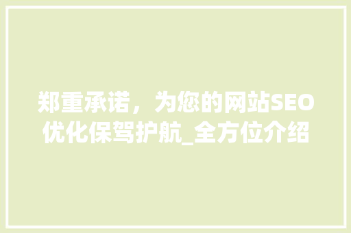 郑重承诺，为您的网站SEO优化保驾护航_全方位介绍SEO优化步骤