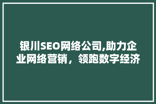 银川SEO网络公司,助力企业网络营销，领跑数字经济时代