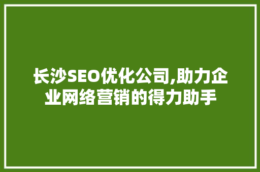 长沙SEO优化公司,助力企业网络营销的得力助手