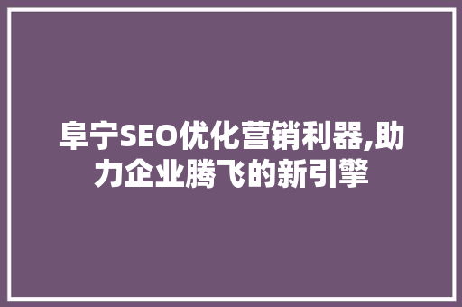 阜宁SEO优化营销利器,助力企业腾飞的新引擎