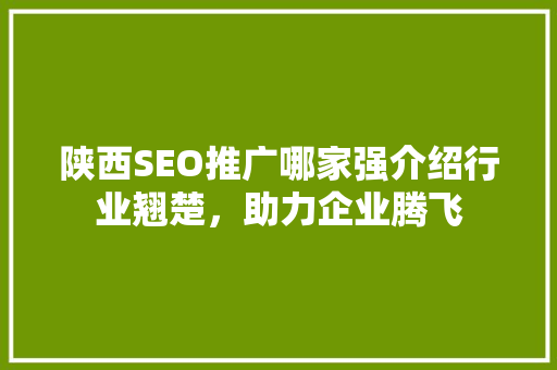 陕西SEO推广哪家强介绍行业翘楚，助力企业腾飞