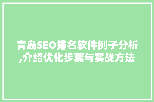 青岛SEO排名软件例子分析,介绍优化步骤与实战方法