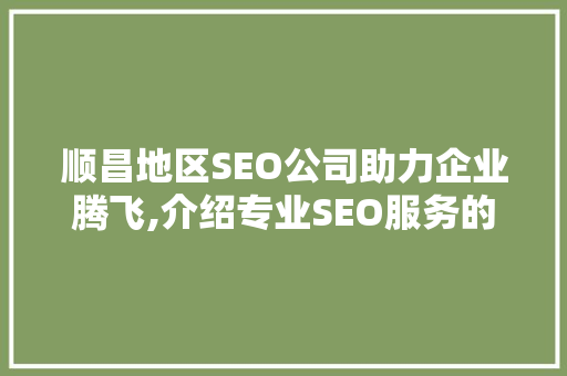 顺昌地区SEO公司助力企业腾飞,介绍专业SEO服务的奥秘