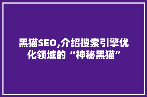 黑猫SEO,介绍搜索引擎优化领域的“神秘黑猫”