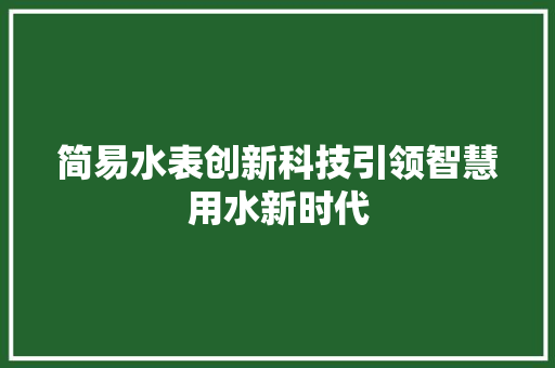 简易水表创新科技引领智慧用水新时代