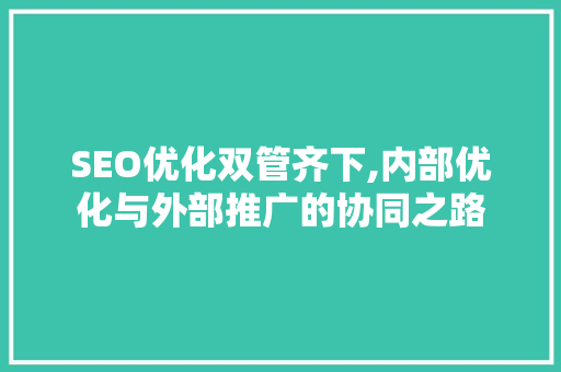 SEO优化双管齐下,内部优化与外部推广的协同之路
