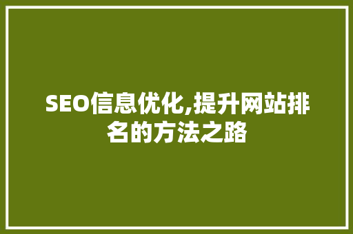 SEO信息优化,提升网站排名的方法之路