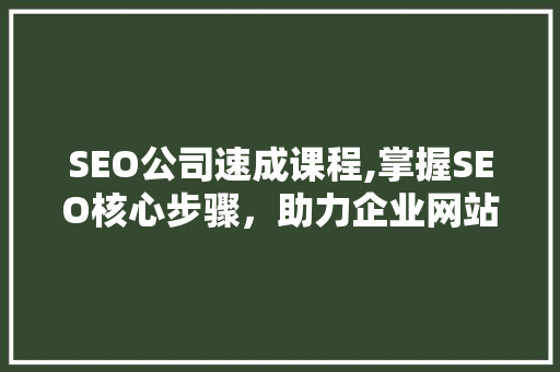 SEO公司速成课程,掌握SEO核心步骤，助力企业网站优化