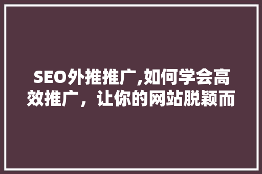 SEO外推推广,如何学会高效推广，让你的网站脱颖而出