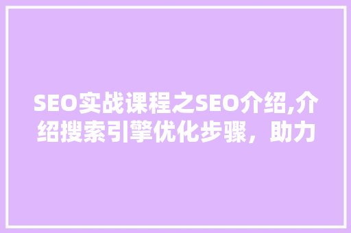 SEO实战课程之SEO介绍,介绍搜索引擎优化步骤，助力网站提升排名