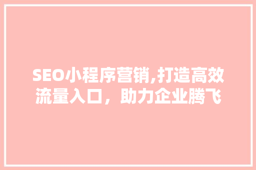 SEO小程序营销,打造高效流量入口，助力企业腾飞