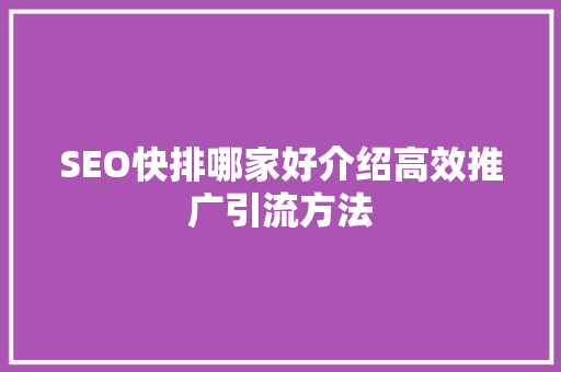 SEO快排哪家好介绍高效推广引流方法