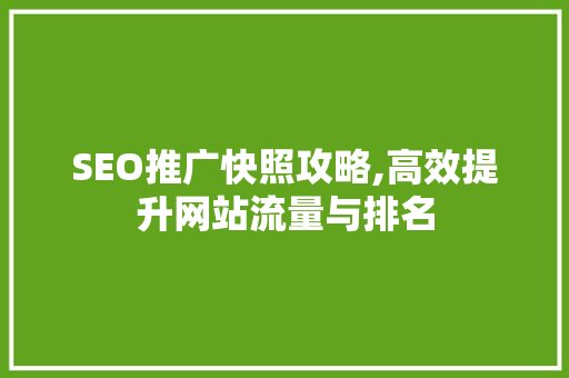 SEO推广快照攻略,高效提升网站流量与排名