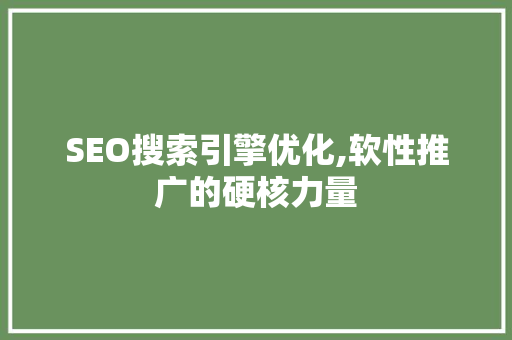 SEO搜索引擎优化,软性推广的硬核力量