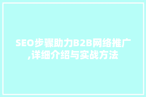 SEO步骤助力B2B网络推广,详细介绍与实战方法