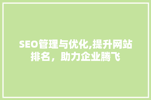 SEO管理与优化,提升网站排名，助力企业腾飞  第1张