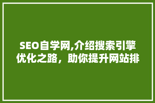 SEO自学网,介绍搜索引擎优化之路，助你提升网站排名