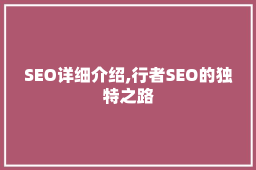 SEO详细介绍,行者SEO的独特之路