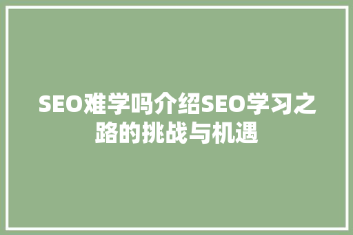 SEO难学吗介绍SEO学习之路的挑战与机遇