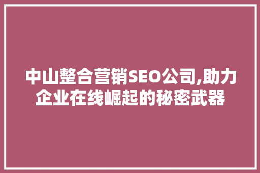中山整合营销SEO公司,助力企业在线崛起的秘密武器