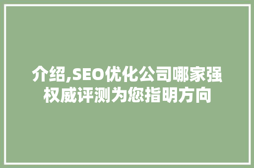 介绍,SEO优化公司哪家强权威评测为您指明方向