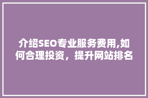 介绍SEO专业服务费用,如何合理投资，提升网站排名