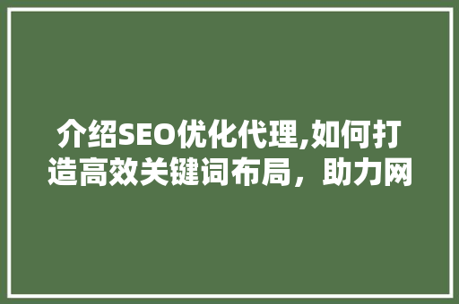 介绍SEO优化代理,如何打造高效关键词布局，助力网站排名攀升
