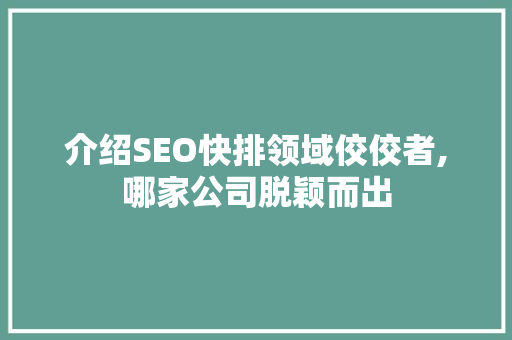介绍SEO快排领域佼佼者,哪家公司脱颖而出