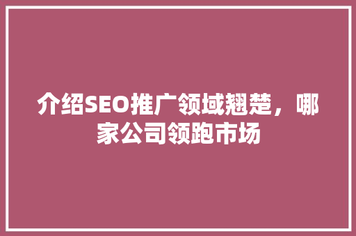 介绍SEO推广领域翘楚，哪家公司领跑市场